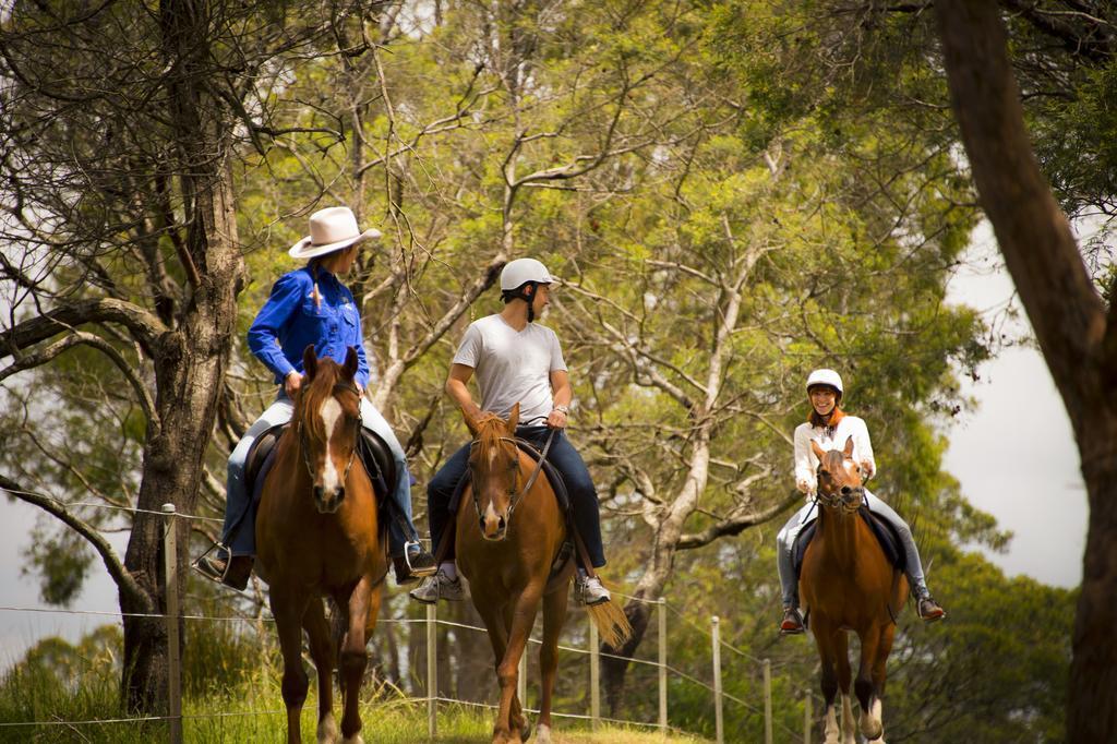 Hotel Country Club Tasmania Launceston Zewnętrze zdjęcie